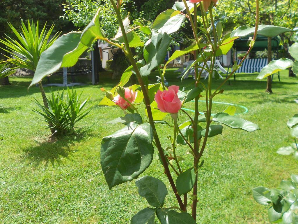 אורטה B&B La Quercia מראה חיצוני תמונה