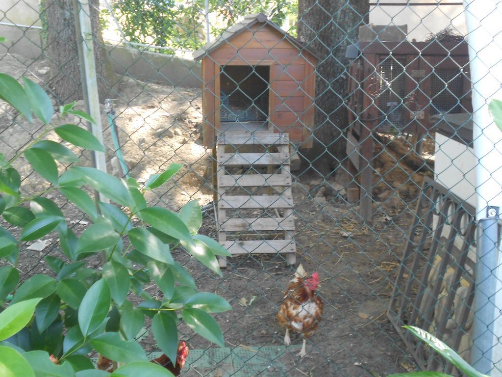 אורטה B&B La Quercia מראה חיצוני תמונה