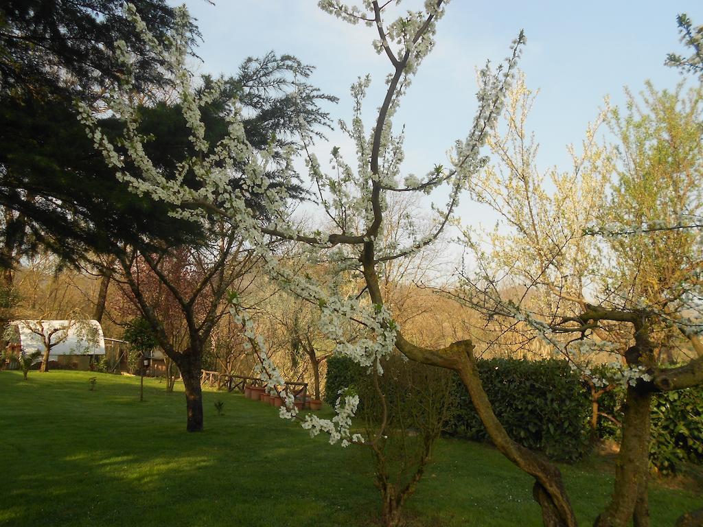 אורטה B&B La Quercia מראה חיצוני תמונה